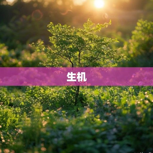 芃字取名寓意，草木葱茏间的生命礼赞