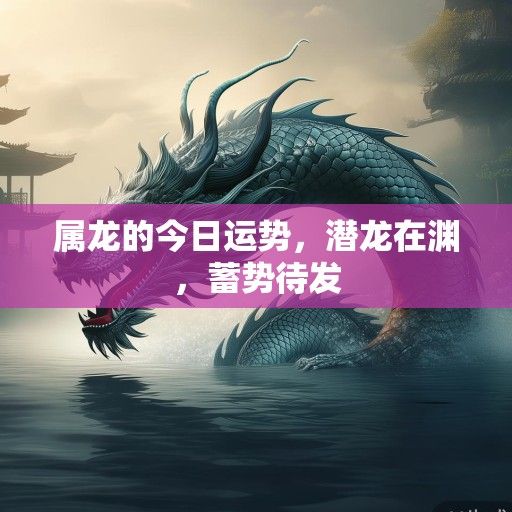 属龙的今日运势，潜龙在渊，蓄势待发