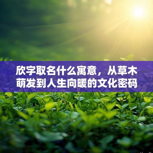欣字取名什么寓意，从草木萌发到人生向暖的文化密码