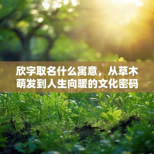 欣字取名什么寓意，从草木萌发到人生向暖的文化密码