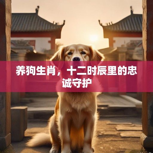 养狗生肖，十二时辰里的忠诚守护