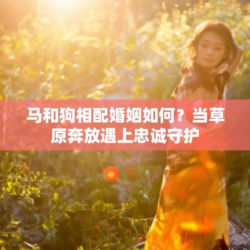 马和狗相配婚姻如何？当草原奔放遇上忠诚守护