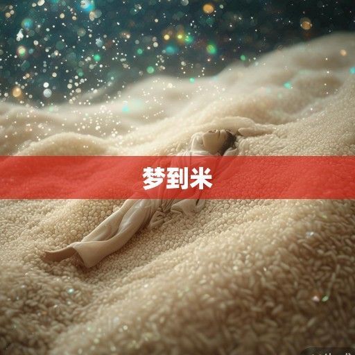 梦到米