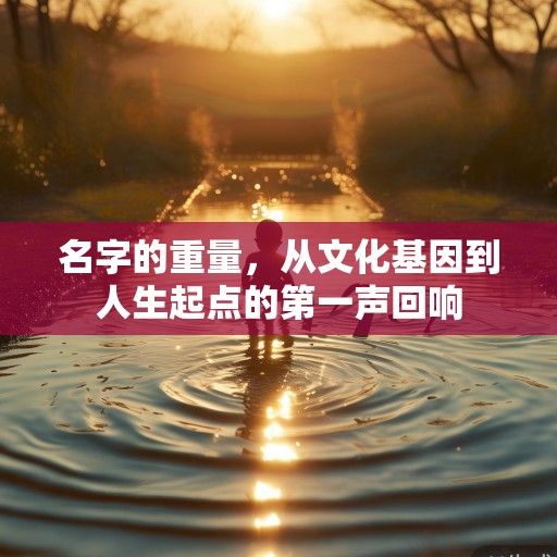 名字的重量，从文化基因到人生起点的第一声回响
