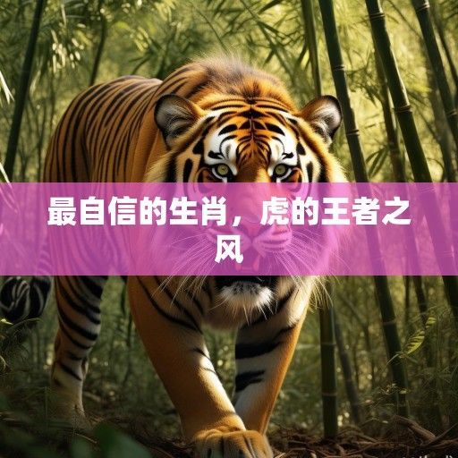 最自信的生肖，虎的王者之风