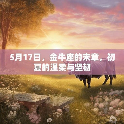 5月17日，金牛座的末章，初夏的温柔与坚韧