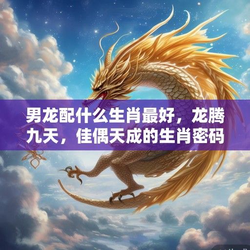 男龙配什么生肖最好,龙腾九天,佳偶天成的生肖密码 男龙配什么生肖最好,龙腾九天,佳偶天成的生肖密码