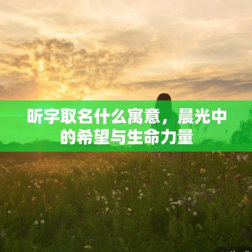 昕字取名什么寓意，晨光中的希望与生命力量