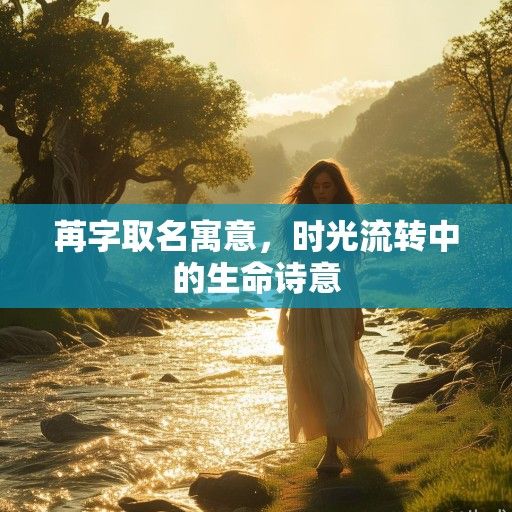 苒字取名寓意，时光流转中的生命诗意
