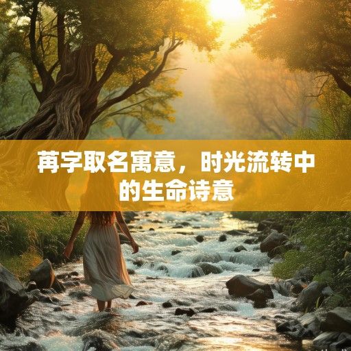 苒字取名寓意，时光流转中的生命诗意