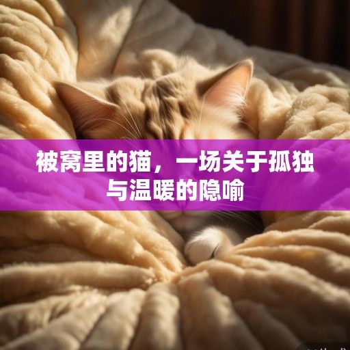 被窝里的猫，一场关于孤独与温暖的隐喻