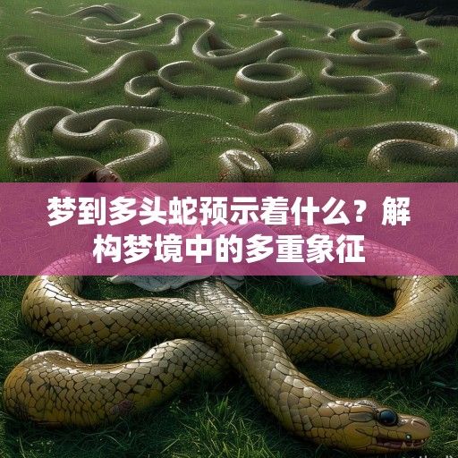 梦到多头蛇预示着什么？解构梦境中的多重象征