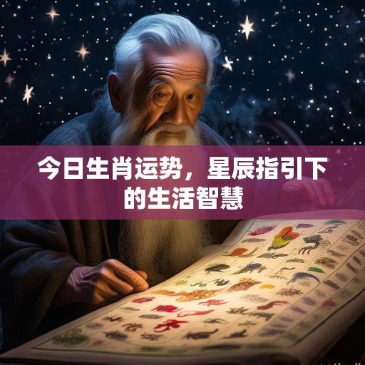 今日生肖运势，星辰指引下的生活智慧