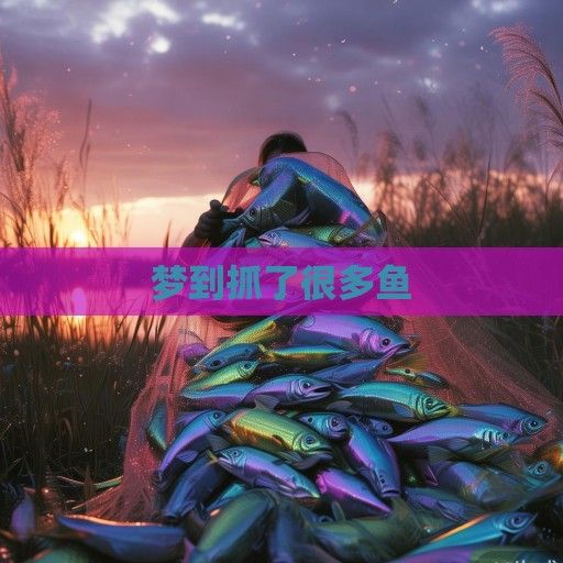 梦到抓了很多鱼