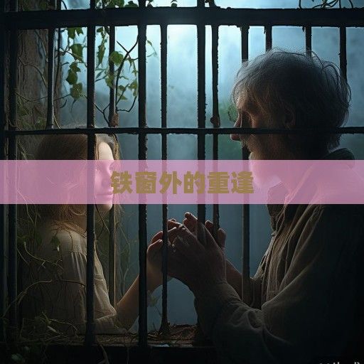 铁窗外的重逢