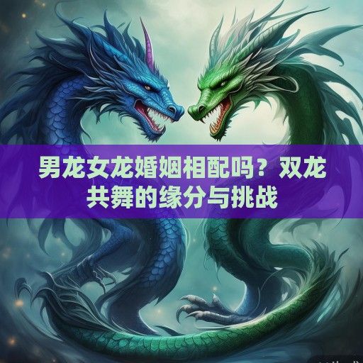 男龙女龙婚姻相配吗？双龙共舞的缘分与挑战