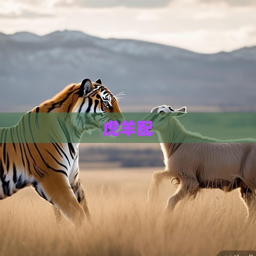 男虎女羊，当山风遇见草原，一场需要智慧的共舞